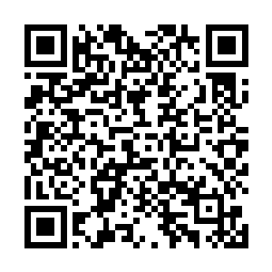 同时也让远处看热闹的皇天城之人眼中露出了恐怖之色二维码生成
