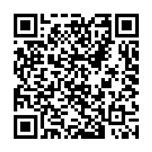 同时也详详细细的说了一下龙天行跟凯莉长老的关系二维码生成