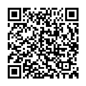 同时也随征的白脉仙人在各处地脉节点建立法阵二维码生成