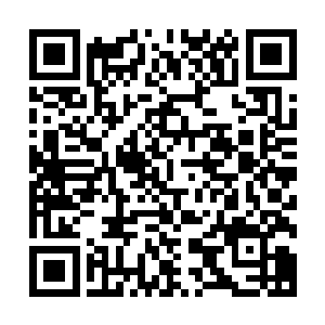 同时二十名尖子生和二十名金雕也从普吉岛反方向抵达了这里二维码生成