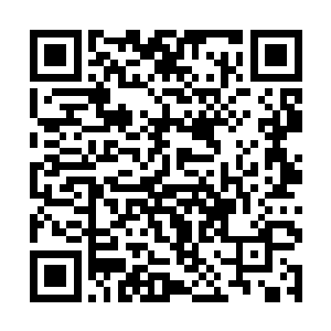 同时从储物戒指中拿出大把的符箓向着身后猛然扔去二维码生成