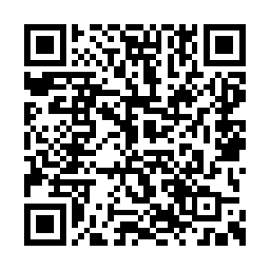 同时他也知道为什么石克一副无精打采的样子了二维码生成