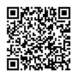 同时他灵魂识海内两把暗金色魂剑快速冲了出来二维码生成