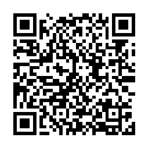 同时他还是四十岁之前就赢得四次奥斯卡影帝提名的男演员二维码生成