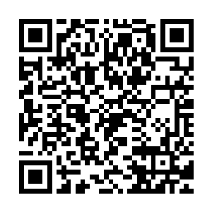 同时以强悍的内息瞬间爆发……两个倒霉鬼几乎是瞬间气血逆行二维码生成