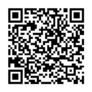 同时催动灵气肆无忌惮的摧毁巨大蝎子体内的器官二维码生成