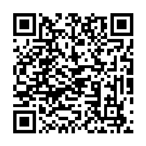 同时其中所蕴含的可怕力量也让瓦瑞夫直接喷出一口鲜血二维码生成