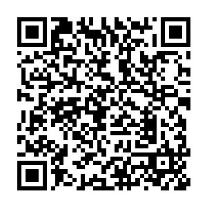 同时其它八大宗门和很多中小型宗内的坐镇修士也都远远地跟随着二维码生成