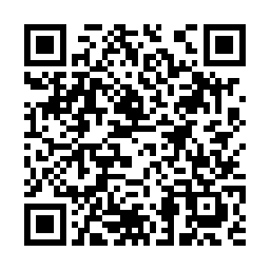 同时内部的结构也以肉眼可见的速度开始飞快完善二维码生成