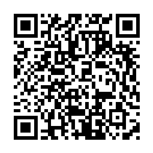 同时军方的两位伯伯也不会直接的就找上自己的二维码生成