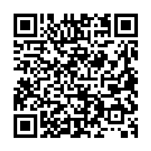 同时前院地面上的桃花等树妖和二十个小古藤也都幻化成人型二维码生成