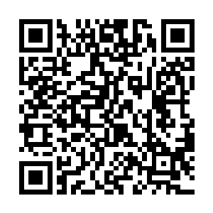 同时原本无边无际的血海也再度出现在了他们的周围二维码生成