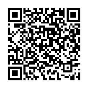 同时又为苏雨果浪费食物的举动感到痛心疾首起来二维码生成