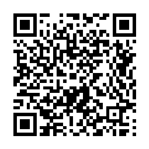 同时又在一开始被浪费掉少许的洛氏兄妹队最先败下阵来二维码生成