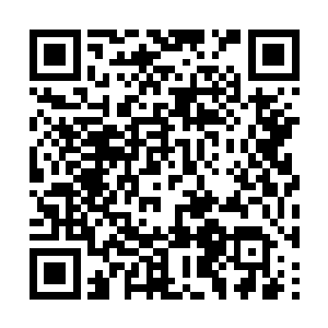 同时又忌惮于并没有掩饰气息的众人的实力的模样二维码生成