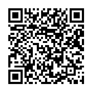 同时向胡蜂和犹太财团旗下的很多企业发出了邀请二维码生成