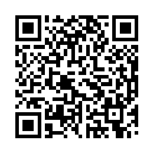 同时和五个大门派为敌是傻子才会做的事情二维码生成