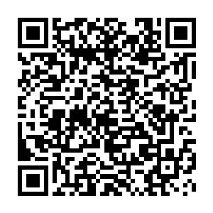 同时因为安陵的神识明显不比其他选手那仿佛犯人放风一般的激动肆意二维码生成
