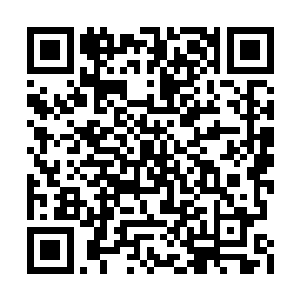 同时在墙壁上还用昂贵的吸灵石嵌满了通道墙壁二维码生成