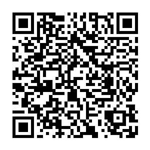 同时在小心翼翼的尝试着球体之内自己的精神力能对那两股能量所能施加的最大二维码生成