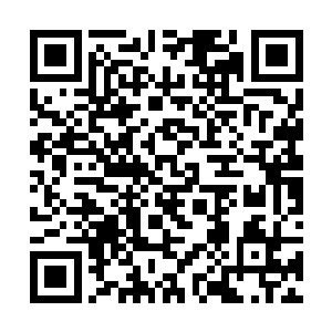 同时在庞大灵石资源和术师道将真人们的灵池支撑下二维码生成