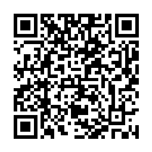 同时在心里为那些不知死活惹上夜染的人默哀一声二维码生成