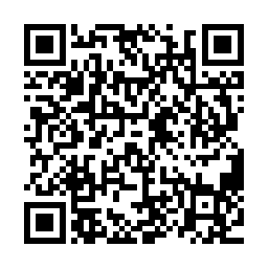 同时在神识中也能够感觉到许紫烟体内的元神正在急剧地消耗二维码生成