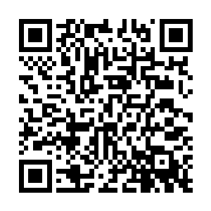 同时她的双手仅仅抱住了丁长生还没来得及撤出的那只手二维码生成