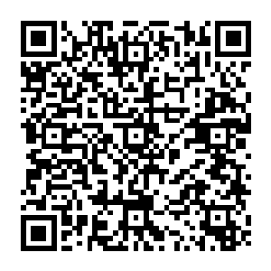 同时好奇方蓝面对主上一直提及想让她到身边一起的妹妹方青白小姐增添两侍奉侍二维码生成