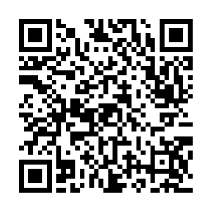 同时实力还不能太强――输球的话会打击球丢的信心和士气二维码生成