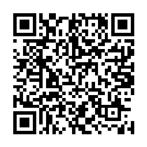 同时宴会厅里方蓝惊恐的被主上吸血昏死后被带走了第二天二维码生成