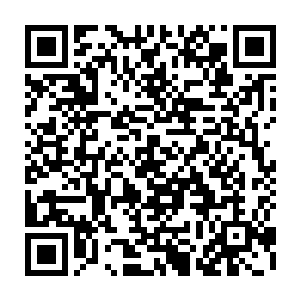 同时对上你们兄弟九人……或者说同时杀死你们兄弟九个……也不过是反掌之易二维码生成