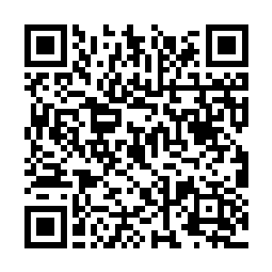 同时对于龙傲天所在的天龙宗也是越来越好奇起来二维码生成