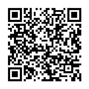 同时将自己身后的那一条长龙也给带着飞上了天空二维码生成