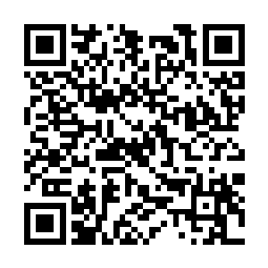 同时开始在费南的舞台上展现出自己最耀眼的一面二维码生成