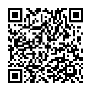 同时开始调查江逸和敖卢安插在东皇大陆的奸细二维码生成