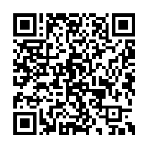 同时我的神识海里出现了一个通体黑色的小人儿二维码生成