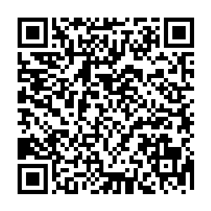 同时所有人也都清楚的感受到神秘女子身上散发出来的那愤怒和杀意的气息二维码生成