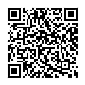 同时所有金丹期级别的高手全部做好出击的准备二维码生成