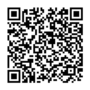 同时拿着池青天和池青郁给他们灌输了新的记忆的流墨墨和雪如楼都来了精神二维码生成