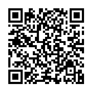 同时无数炮管和能量武器也从那急速变化的巨型舰体中凸现而出二维码生成