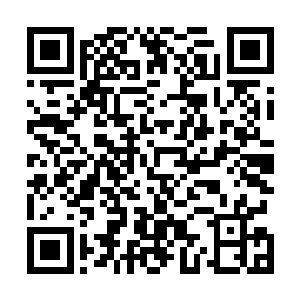 同时月环中间那原本是光晕心态的奇特纹路迅速变动重组二维码生成