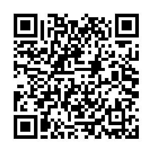 同时望向龙傲天的目光之中也变得更加的怨毒起来二维码生成