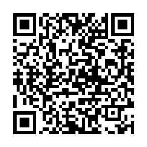 同时木萦也能看出安师姐对于月华是非常关心爱护的二维码生成