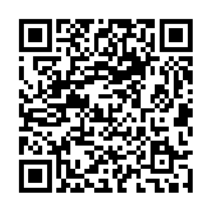 同时来自青狼真君的神威也将正式降临在这片土地二维码生成