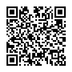 同时杨晨也暗暗在为暗哑贵族的智商感到了捉急二维码生成
