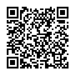 同时杨林的目光也落到了杨戬身边的两道人影上面二维码生成
