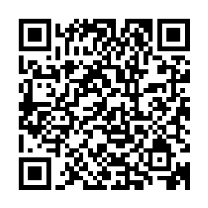 同时杰克他们也知道了为什么令狐翔宇看上去那么痛恨孙剑仁了二维码生成