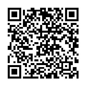 同时植树造林的经济效益比单纯种小麦玉米要高的多二维码生成