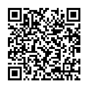 同时每个月也不是实在缺那几块钱就不行的朋友们二维码生成